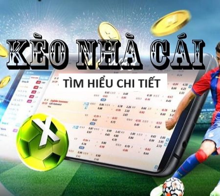 Top 10 trang cá cược Esport HL88